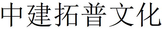 （湖北）武昌 中建拓普文化